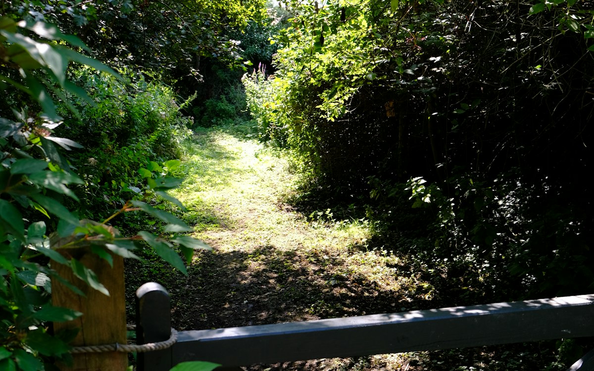 Rural property gate surrounded by trees