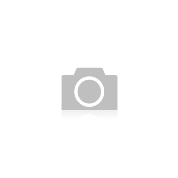 8MP 42× Network PTZ Camera