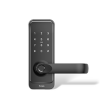 Smart Lock Zigbee BLK