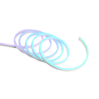 Light Strip NEON RGB 10M