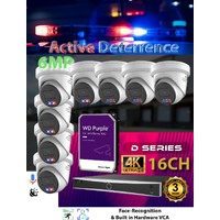 16ch NVR + 8x 6MP Active Det