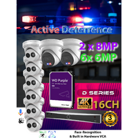 16ch NVR + 4x 6MP + 2x 8MP AD