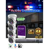 4ch NVR + 4x 6MP Active Det