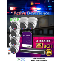 8ch NVR + 6x 6MP Active Det