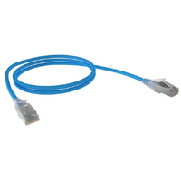 POE 0.25m Blue