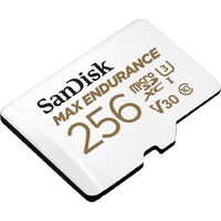 Micro SD Card (256GB)