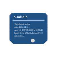 1 gang Zigbee Sw module