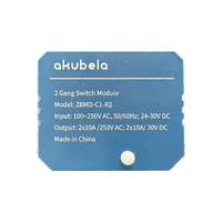 2 gang Zigbee Sw module