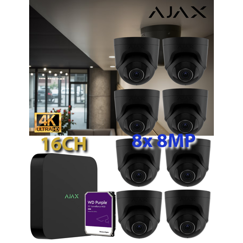 8 x 8MP + 16CH 8TB AJAX BLK