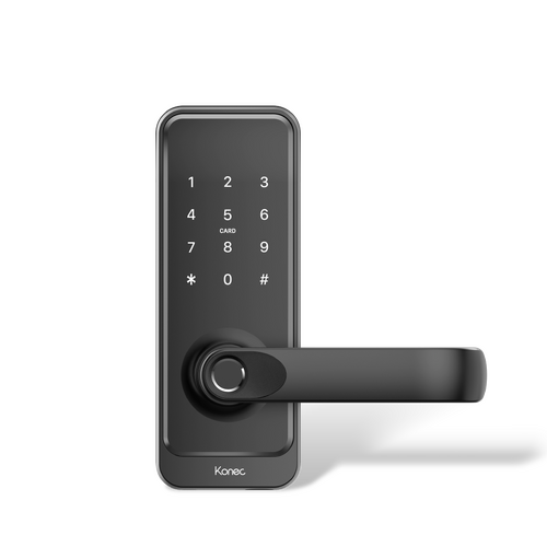 Smart Lock Zigbee BLK