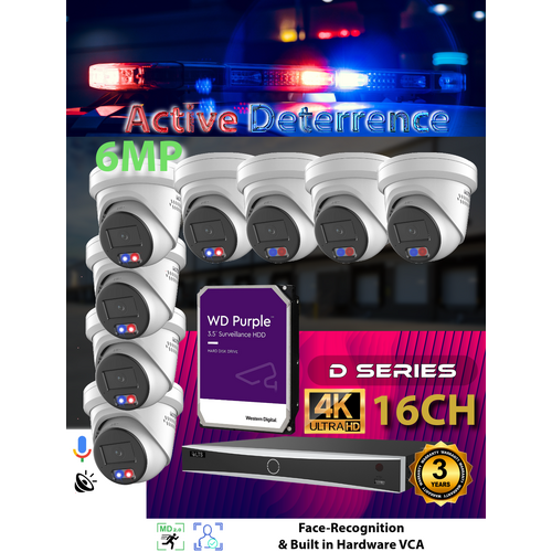 16ch NVR + 8x 6MP Active Det