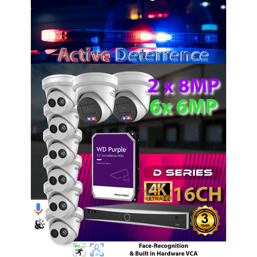 16ch NVR + 4x 6MP + 2x 8MP AD