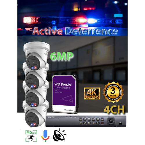 4ch NVR + 4x 6MP Active Det