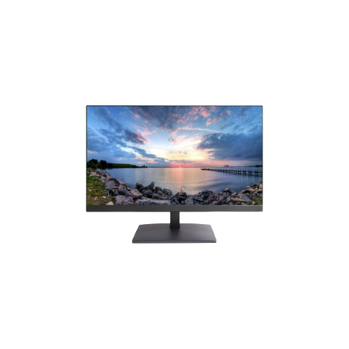 Orion 24" CCTV Monitor