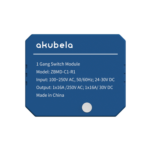 1 gang Zigbee Sw module